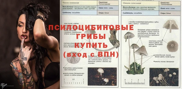 круглые Арсеньев