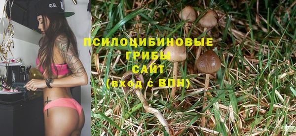 винт Армянск