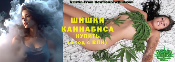 винт Армянск